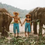 elefantes en Tailandia