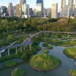 Benchakitti Skywalk: Paseo Elevado entre Naturaleza y Ciudad en Bangkok
