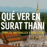 Qué ver en Surat Thani (Tailandia): templos, mercados y naturaleza salvaje